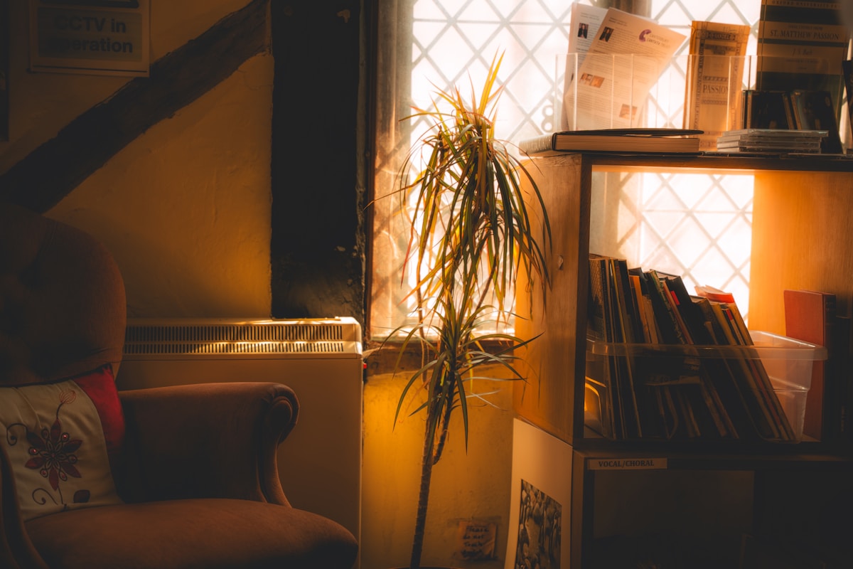 Warm afternoon sunlight falling across an armchair beside a window.